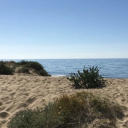 Estudio Primera Linea 50 Mtrs Playa. Fibra 600mb *