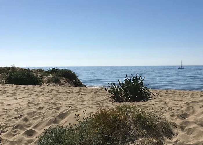 Estudio Primera Linea 50 Mtrs Playa. Fibra 600mb *