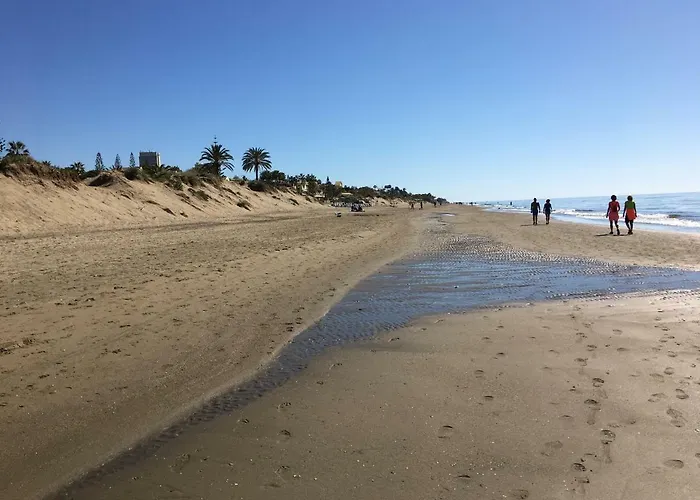 Estudio Primera Linea 50 Mtrs Playa. Fibra 600mb